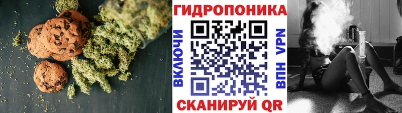 купить  цена  Кувандык  Canna-Cookies конопля 
