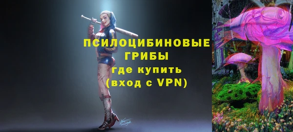 дживик Баксан