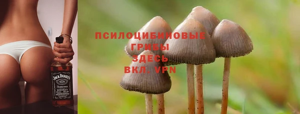 мдпв Балахна