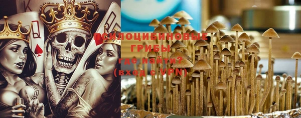 дживик Баксан