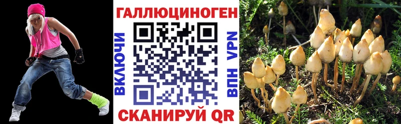 KRAKEN ссылки  магазин продажи   Кувандык  Псилоцибиновые грибы Psilocybine cubensis 